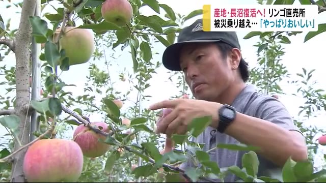 産地・長沼復活へ!リンゴ直売所 被災乗り越え…「やっぱりおいしい」 千曲川の堤防決壊10カ月