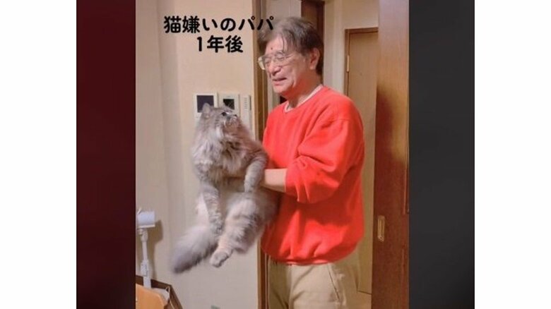 “猫嫌いのパパ”が1年後、飼い猫にメロメロに…抱っこでクルクル！ここまで仲良くなった経緯を聞いた