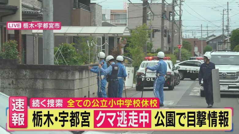 【現場報告】“新幹線の駅から車で数分の市街地”にクマ　「麻酔銃」を撃ったか　栃木・宇都宮で「防弾チョッキ姿」の警官も出動　市内全94校が休校　クマは2頭か？｜FNNプライムオンライン