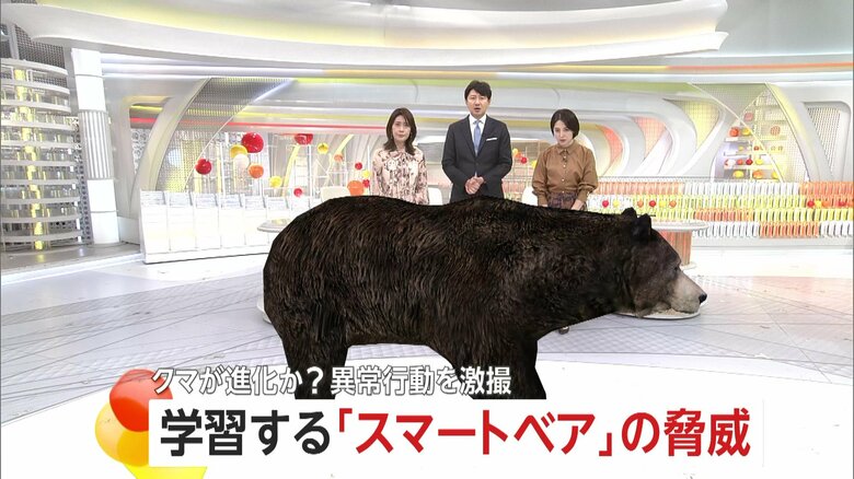 「こんなデカいの見たことない」400キロ級“巨大グマ”に老練ハンター驚き…わな見破る高い学習能力の「スマートベア」も増加|FNNプライムオンライン