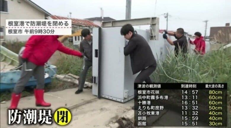 防潮堤「電動化」政策の現状と課題　先人たちの経験を確かな備えへ｜FNNプライムオンライン
