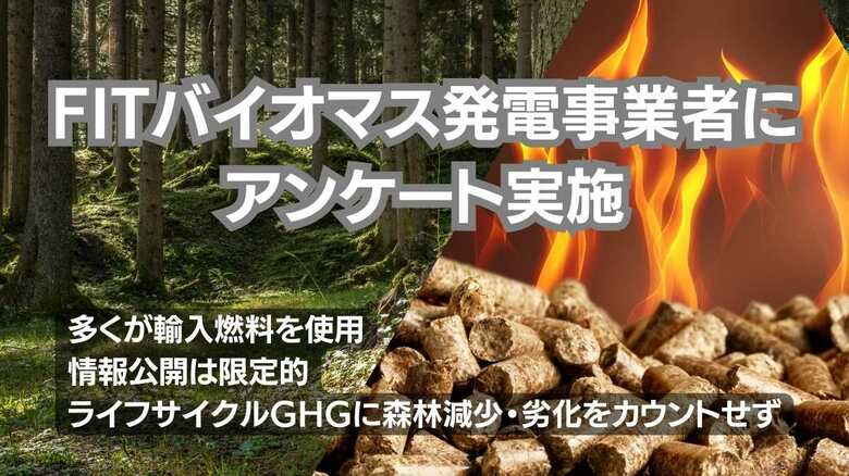 FITバイオマス発電事業者にアンケート実施