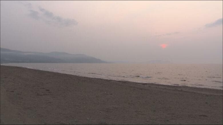 【真冬のビーチに変死体】「砂浜に骨のようなものがある。人の手も見える」砂浜に埋もれた男性の遺体みつかる＿目立つ外傷なし＿身元の確認を急ぐとともに事件事故の両面で死因など調べる〈北海道小樽市〉｜FNNプライムオンライン