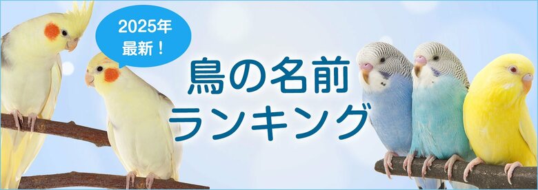 【2025年最新】鳥の名前ランキングを発表!