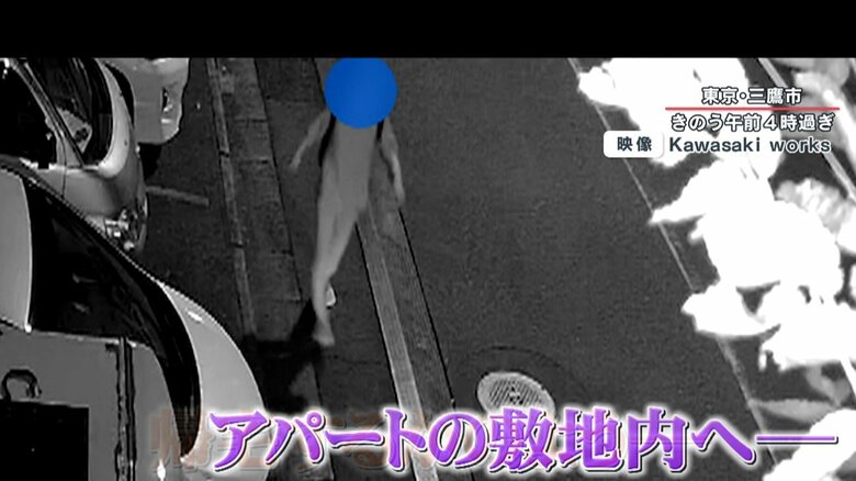 まるで帰宅するかのように自然な様子で敷地内に侵入
