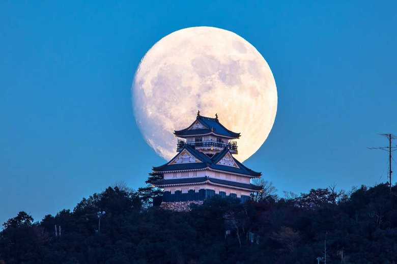 撮影:小林淳さん 撮影日:2017年12月2日