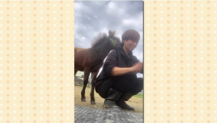 （提供：おひさま牧場）