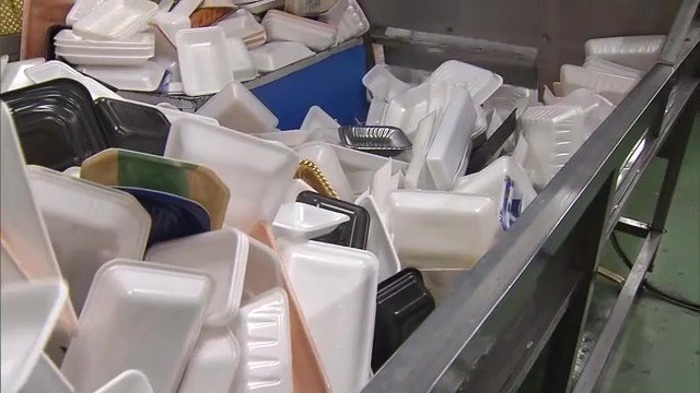 大量な食品トレー