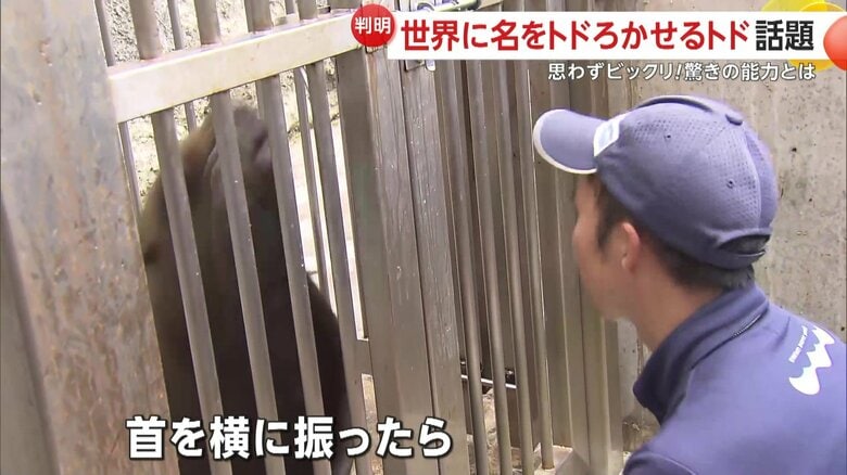 間のマネをする驚きの能力を持ったトド「ハマ」