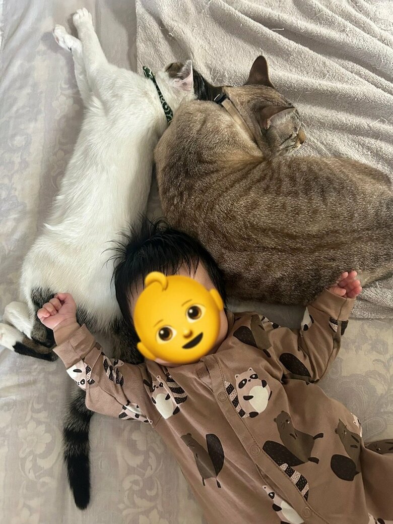 これからさらに仲良くなることだろう