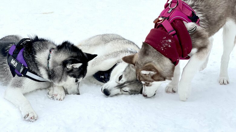 別の日も一緒に