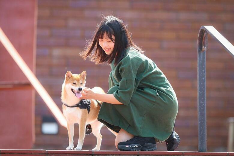 けいちゃんとはねちゃん（提供：柴犬けいちゃん）