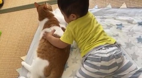 提供：Hassakuさん