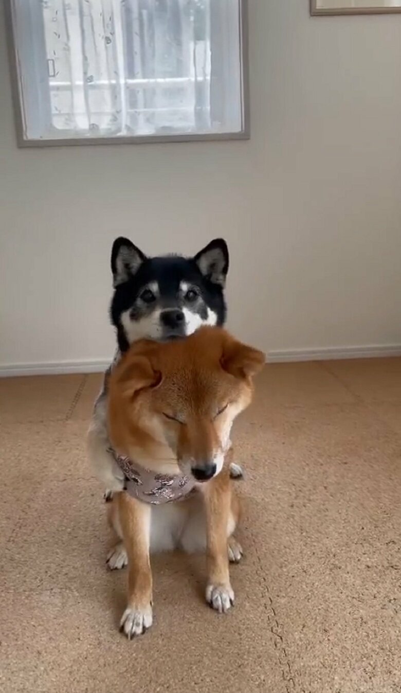 バックハグを成功させた