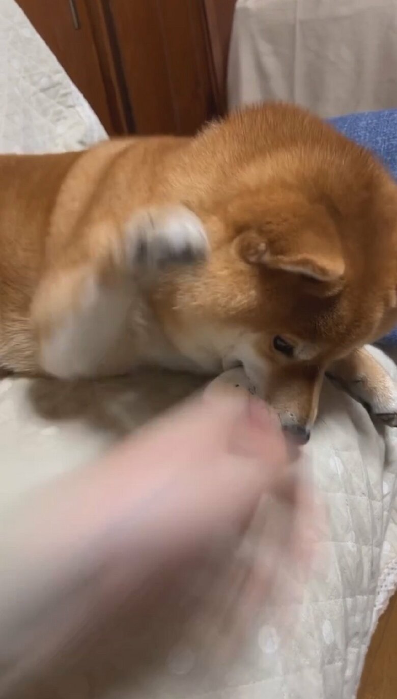 「ダメだって」