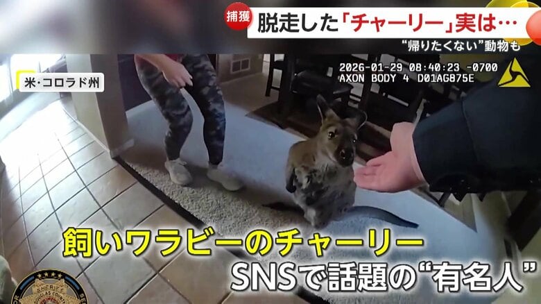 SNSで話題の“有名人”のチャーリー