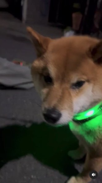 提供：カンさん