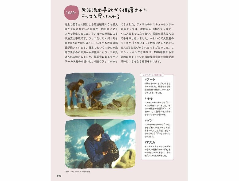 『おいでよ！ラッコ沼への招待状』（世界文化社）より
