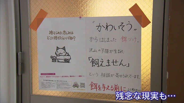 捨てられた悲しみはどこに…？