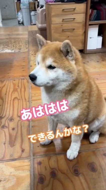 提供：エイトデザイン