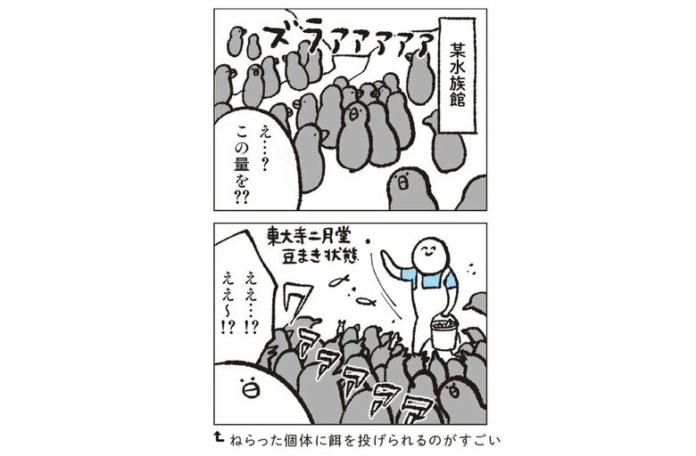 『水族館飼育員のただならぬ裏側案内』（集英社インターナショナル）より