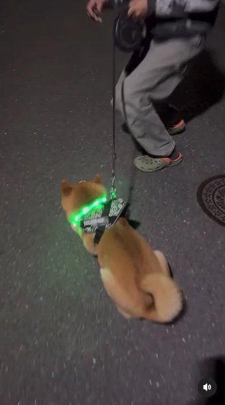 提供：カンさん