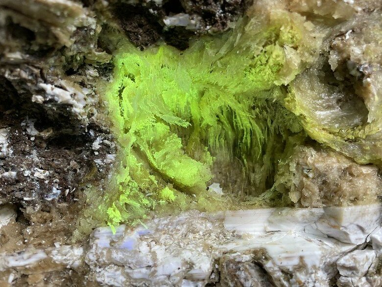 北海道石を含むオパールの産状（長波紫外線を当てると黄緑色の蛍光を発する。横幅15センチ）[提供：相模中央化学研究所 田中陵⼆・主任研究員]