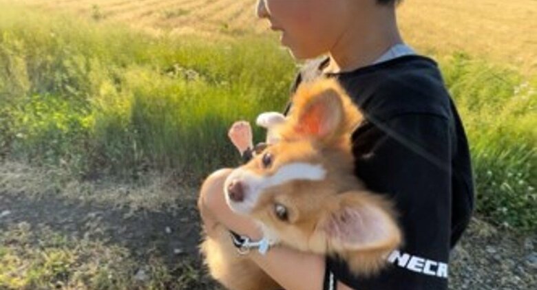 提供：ふくのすけさん