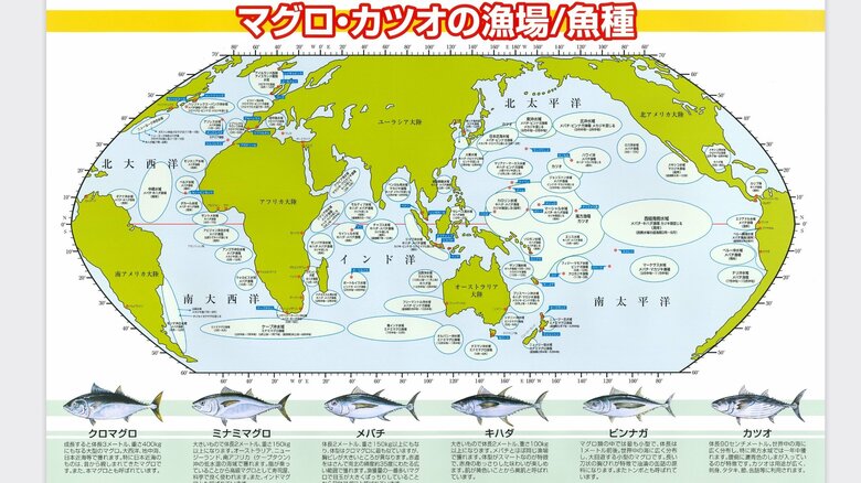 世界のマグロ・カツオの漁場