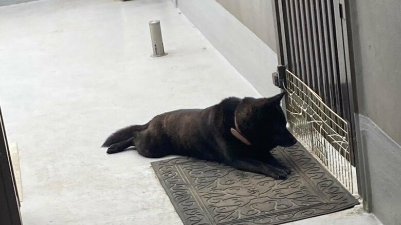 投稿の日も門の前で待っていた