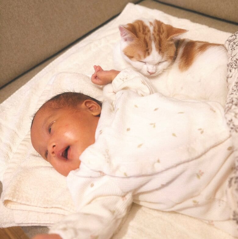 赤ちゃんの隣で寝るこなつくん（提供：こなつさん）