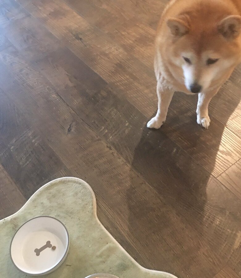 ごはんはなぜか一粒残すことがあるという