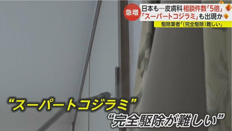 耐性ができ薬が効かない「スーパートコジラミ」が現れ、駆除が難しくなっているという