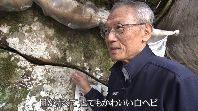 越前竹原弁財天奉賛会の朝日高範委員長