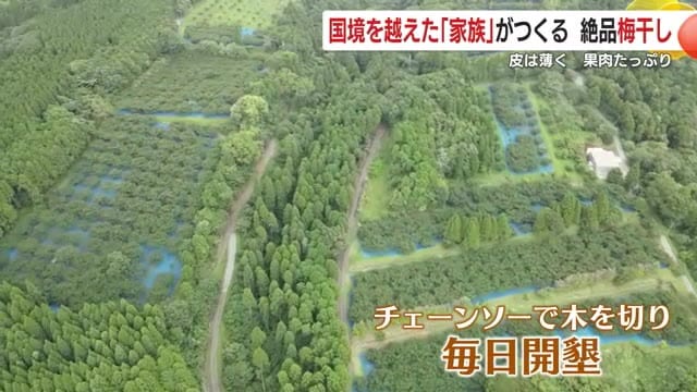 山の中にある堀之内農園