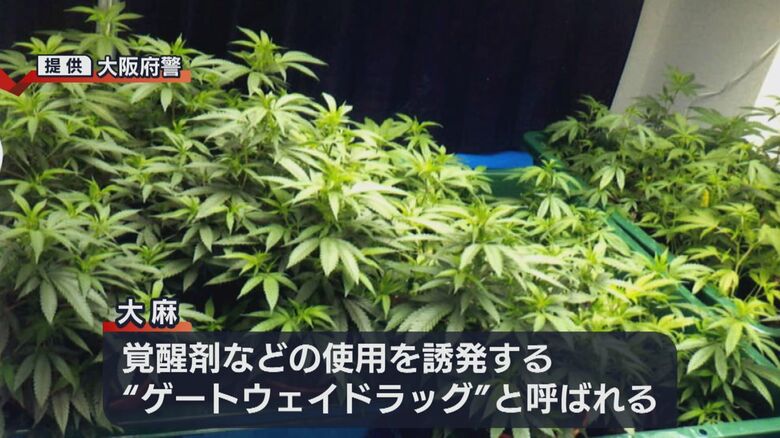 ゲートウェイドラッグ（大阪府警提供）