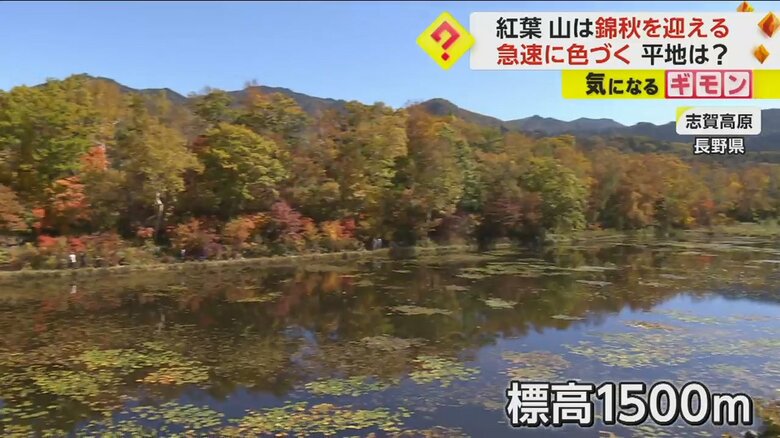 長野県・志賀高原の標高約1500m付近。水面に映る紅葉も美しい