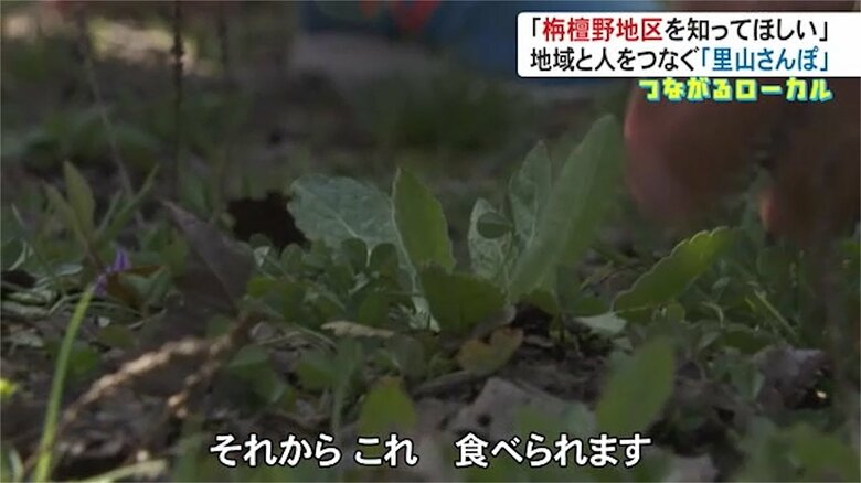 農学博士・長谷川幹夫さんは食べられる草も教えてくれた