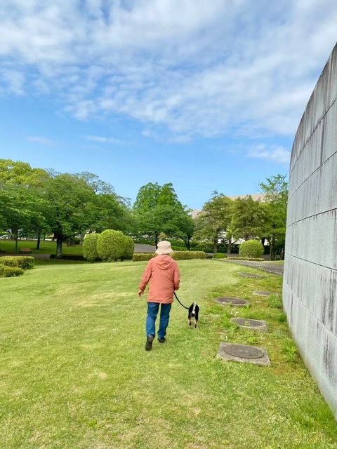 帰省した時は、ばぁばと散歩（提供：豆柴あさのんさん）