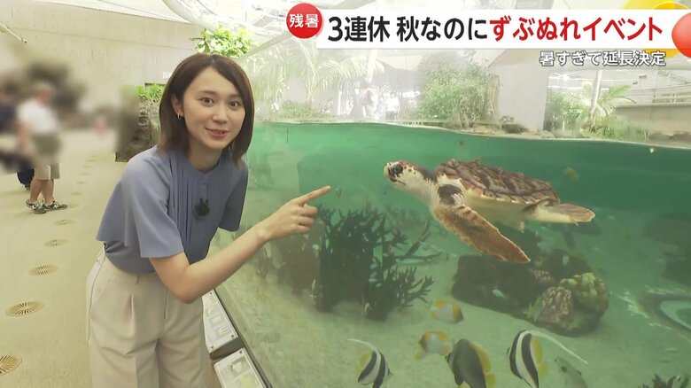 鴨川シーワールド