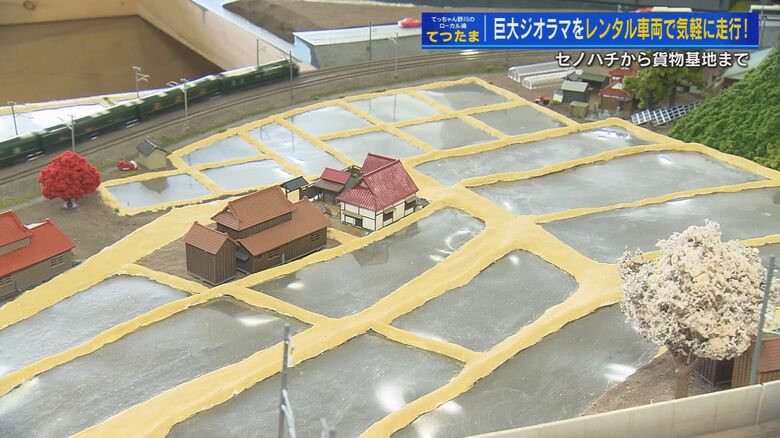 水を張った直後の田んぼをイメージして作られた箇所