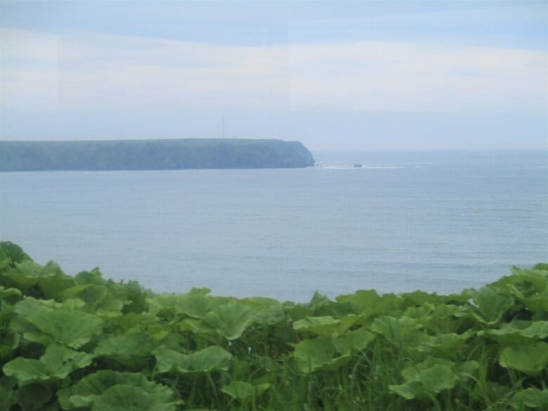 花咲線の車窓から取った写真（提供：根室市）