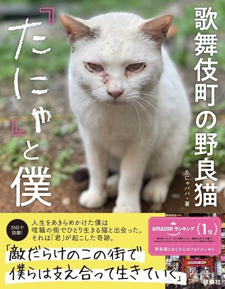 『歌舞伎町の野良猫「たにゃ」と僕』（扶桑社）