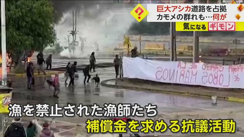 漁を禁止された漁師らが補償金を求めて行っていた抗議活動の様子