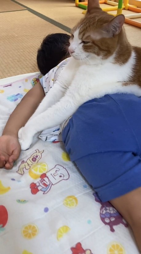 提供：Hassakuさん