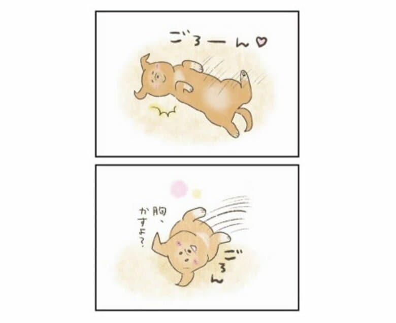 『たまさんちのホゴイヌ2』（世界文化社）より