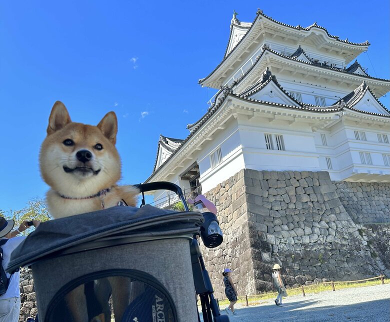 お城に遊びに行ったときの一枚