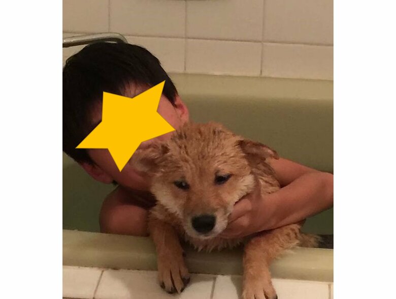 幼い頃一緒にお風呂に入る次男さんとスティーブ（提供：柴犬スティーブch【コーギーと猫を添えて】さん）