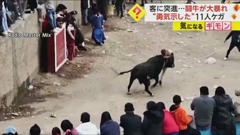 一騎打ちを挑んだ男性が、牛に突進される瞬間④