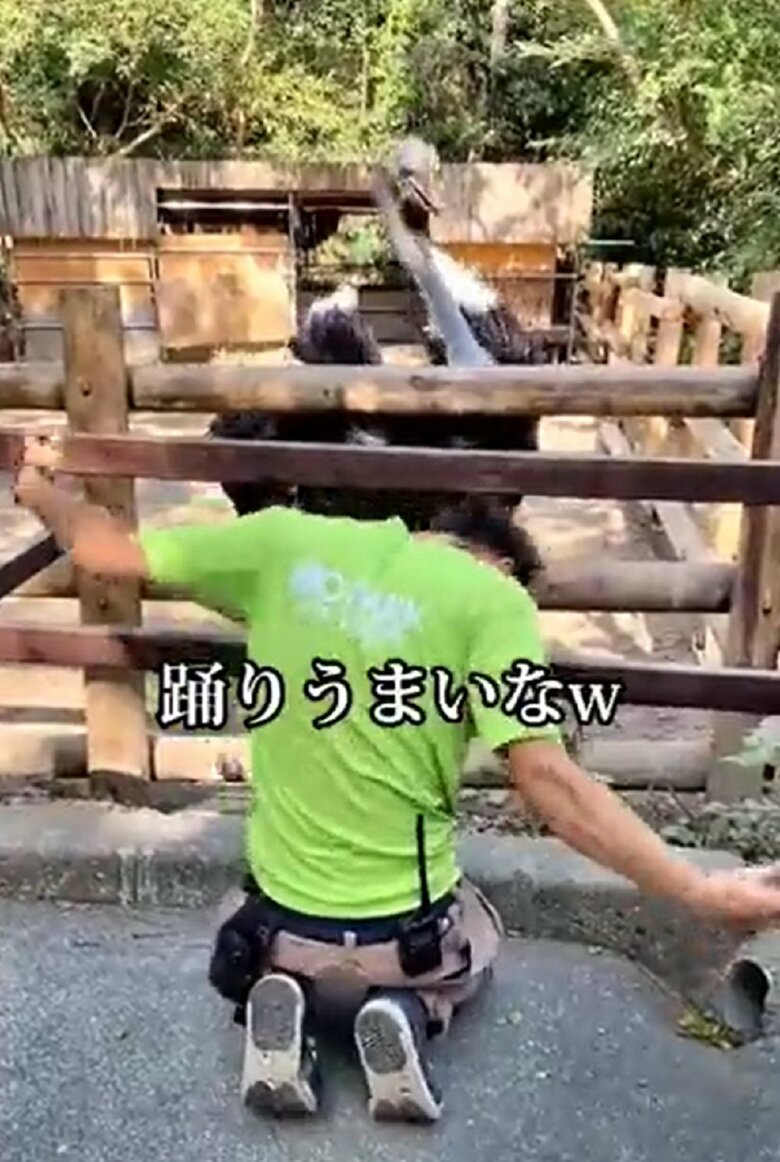 キレのある踊りを披露　撮影者「躍りうまいなｗ」